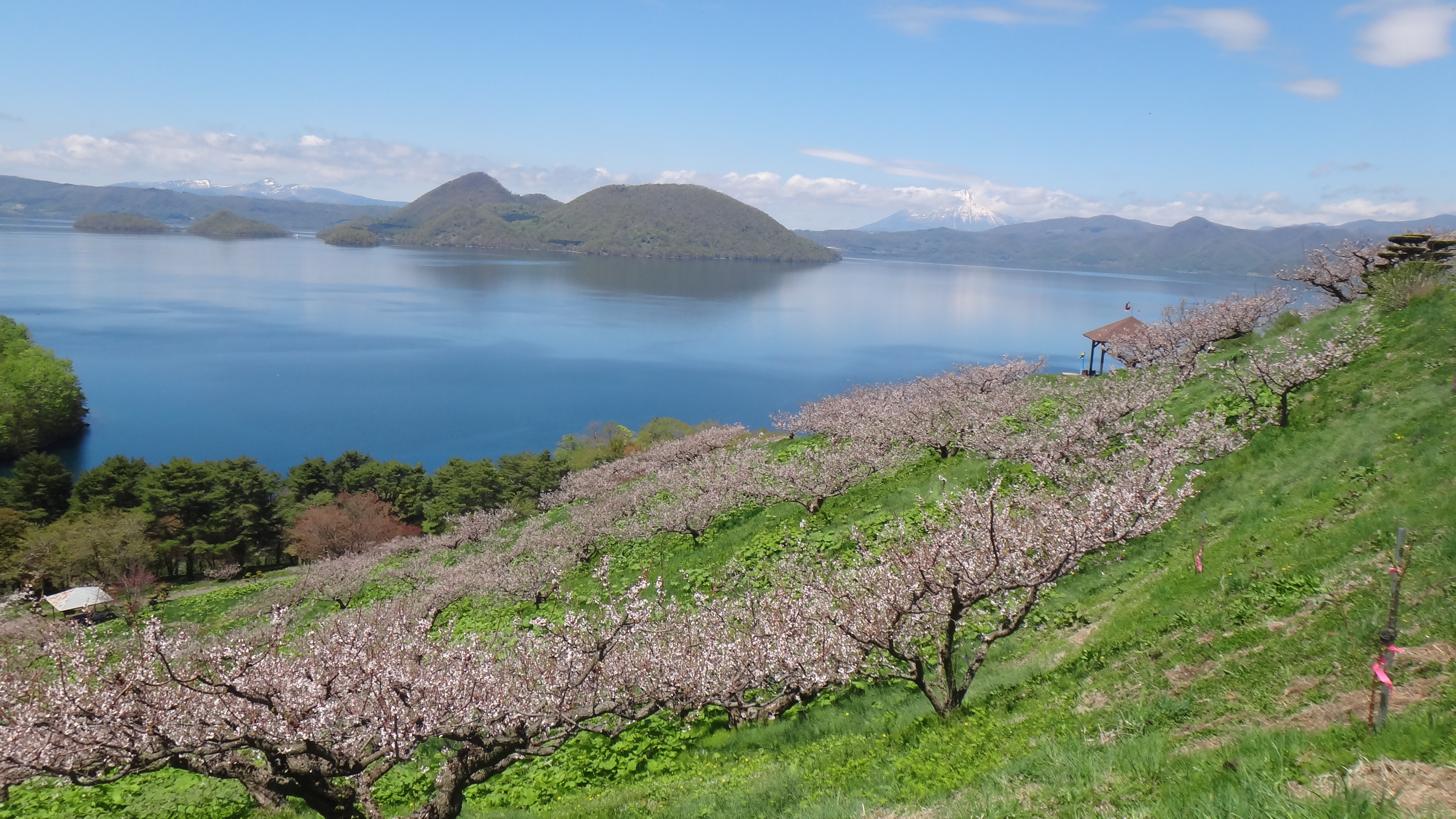 キャンディ　あとぐちさんの親子グマセット　洞爺湖　北海道 キャンディ様専用 あとぐちさんの親子グマセット 洞爺湖 北海道 【公式